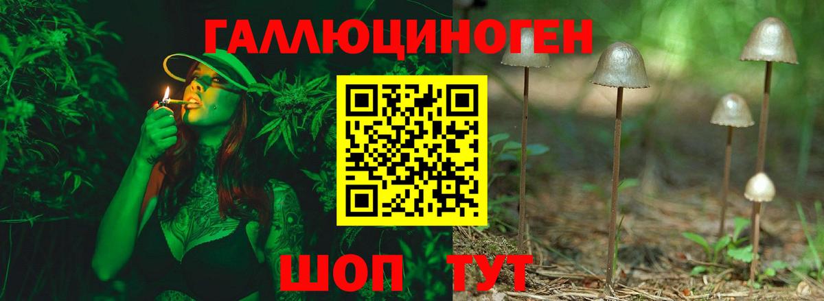 Фурманов  Галлюциногенные грибы GOLDEN TEACHER  Вход с VPN 